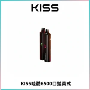 KIS5WAGOO哇酷6500口拋棄式 | 自由混搭雙口味 | 雙芯組合